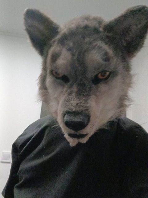 Wolferine
